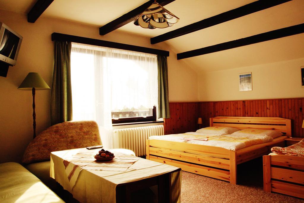 Pension Jana Harrachov Cameră foto