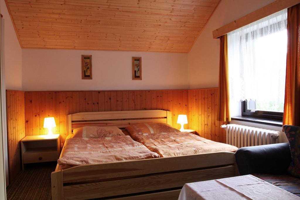 Pension Jana Harrachov Cameră foto